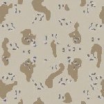 bdu_desert6_pattern1.jpg